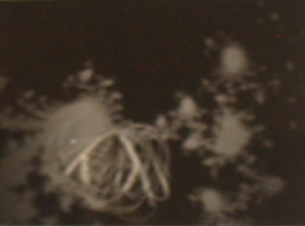 Blanca Muñoz Fractal I