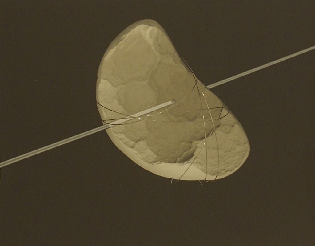 Blanca Muñoz - Fractal II, 2000